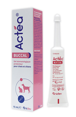 Actéa BUCCAL