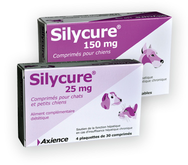 https://anidev.fr/wp-content/uploads/2019/01/silycure-375x330.jpg