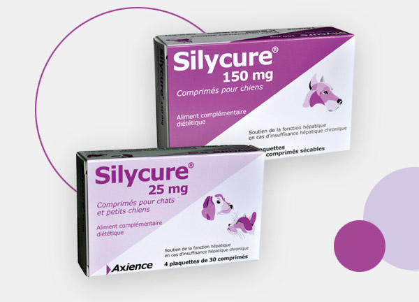 sylicure