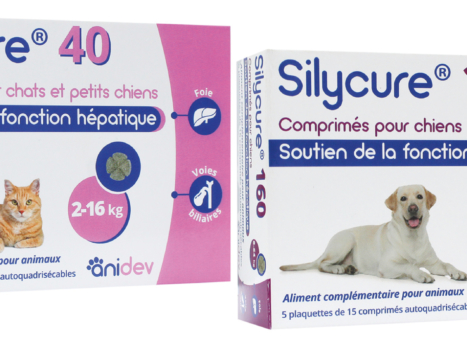 https://anidev.fr/wp-content/uploads/2019/06/ANIDEV-SILYCURE-GAMME-WEB-1-e1763383830497-467x343.jpg