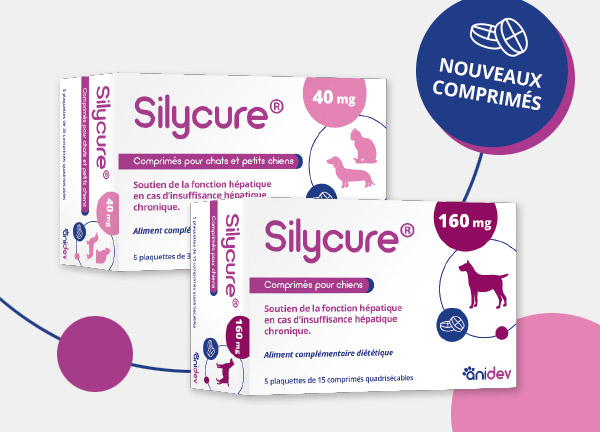 silycure 40 mg - 160 mg