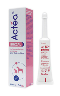 Actéa BUCCAL