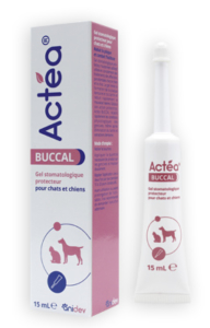 Actéa BUCCAL