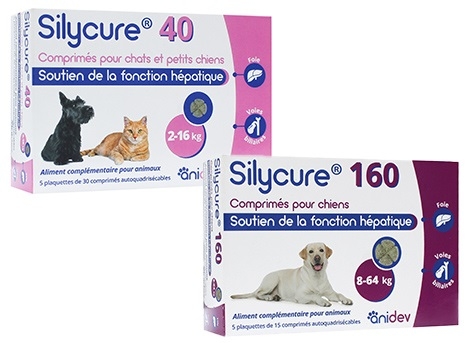 gamme silycure anidev